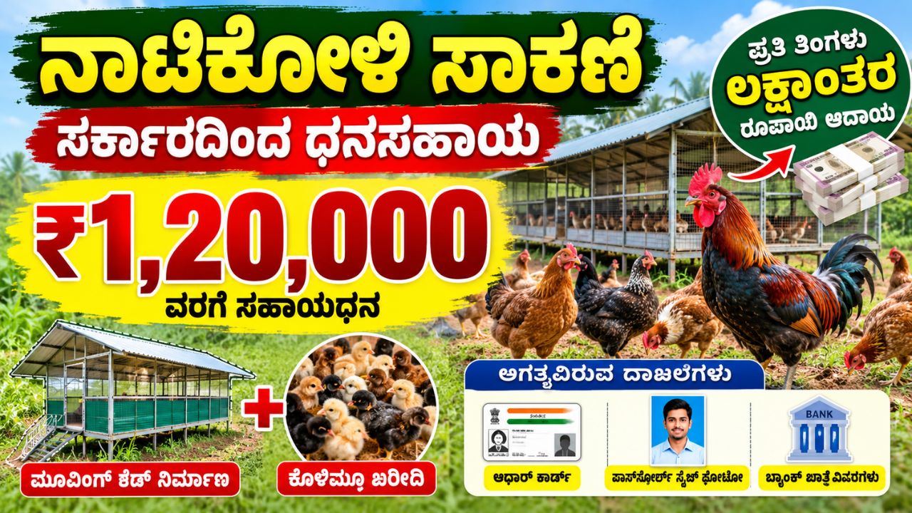 Nati Koli Farming in Karnataka